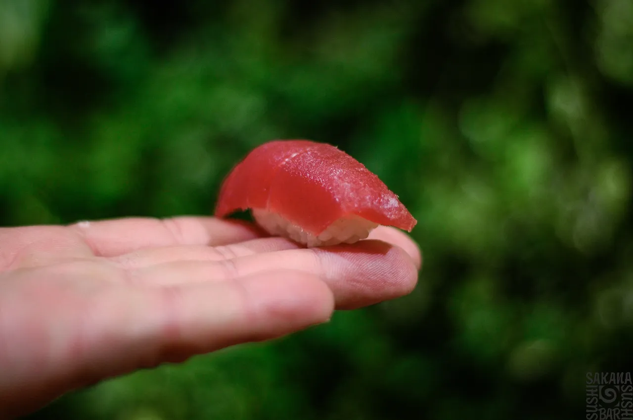 Nigiri z tuńczykiem na dłoni